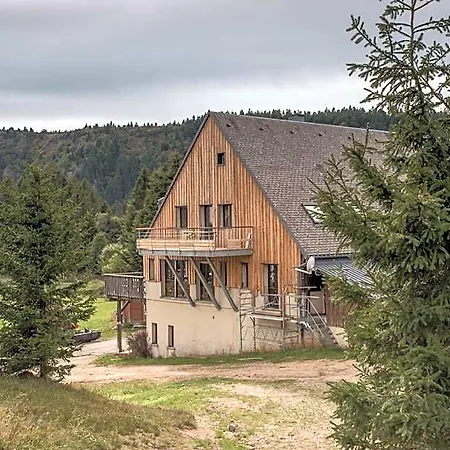 Hotel Terre De Sapins 4*