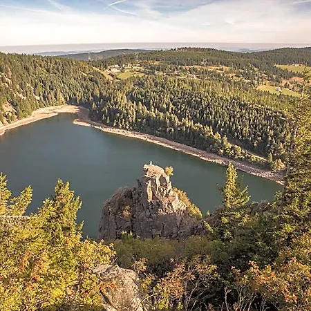 Terre De Sapins 4* Le Bonhomme