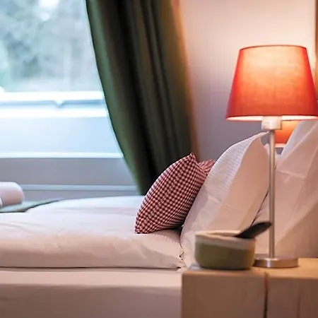 Hotel Terre De Sapins 4*